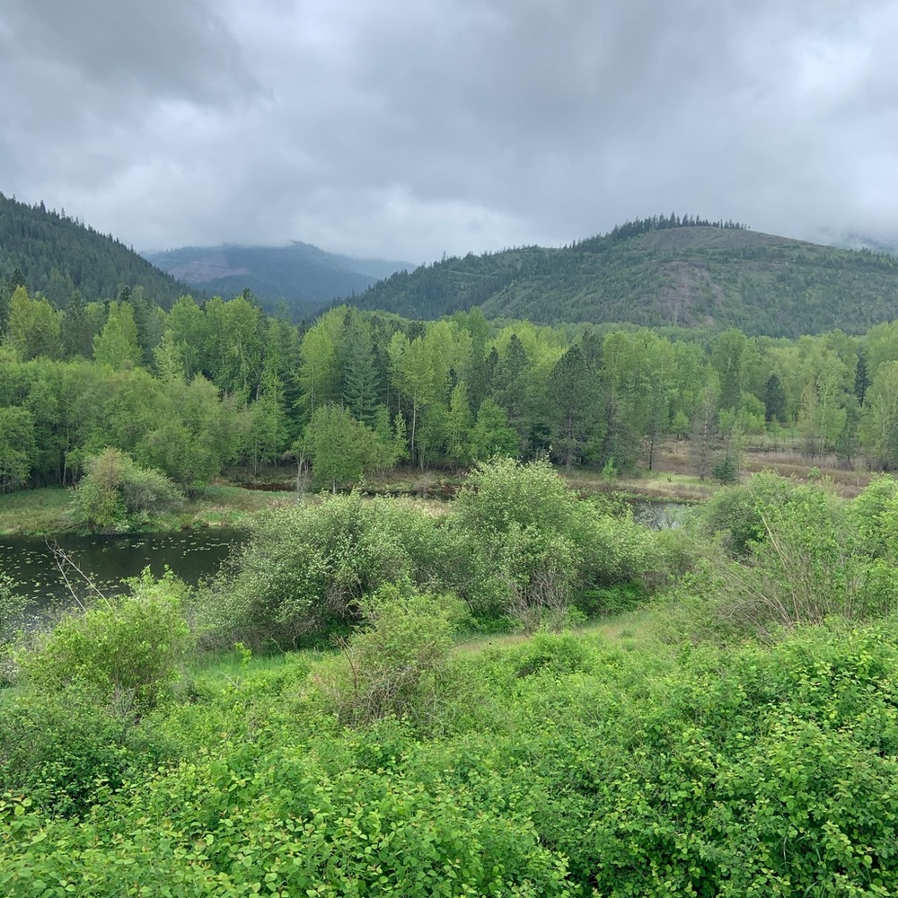 Meet your Posher, Sydney